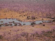 Africa